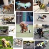 Adjustable Dog Wheelchair/Cart for Back Legs，Pet/Doggie Doggy Wheelchairs with Disabled