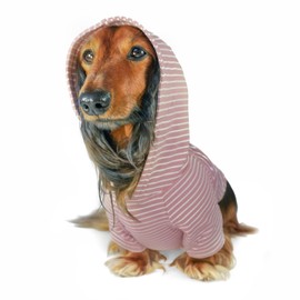 DJANGO Dog Hoodie and Super Soft and Stretchy Sweater with Elastic Waistband and Leash Portal (Medium, Blush Pink)