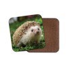 1 x Hedgehog Cork Backed Drinks Coaster - Garden Animals