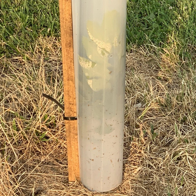 Tree Pro 5 USA Made 60" MIRACLE TUBE TREE PRO