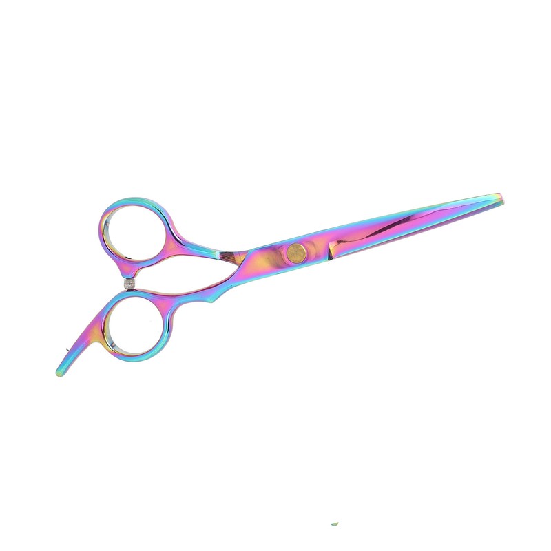 Hair Cutting Scissors Stainless Steel High Sharpness Ergonomic Handle Hairdressing
