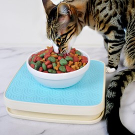 Yuwoda No More Ant Tray Plus-Indoor Moat Feeder for Cats and Dogs - No Plug Needed, Versatile for Any Use, Great for Pet Owners (SkyBlue)