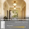 SongCiLT Modern Schoolhouse Semi Flush Mount Ceiling Light with Milk