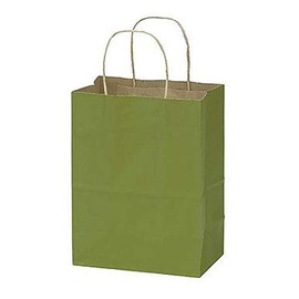 SSWBasics Medium Rain Forest Green Paper Shopping Bags - 8 ¼”L x 4 ¾”D x 10 ½”H -