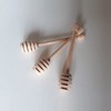 100watt Pack of 12 Large Beech Honey - Size 15