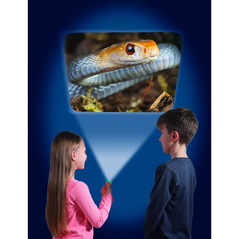 Brainstorm Toys Most Deadly Torch and Projector