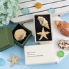 Framendino, 6 Pack Gold Starfish Hair Clip for Women Summer