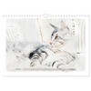 Les chats Maine Coons (Calendrier mural 2023 DIN A4 horizontal):