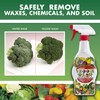 Veggie Wash Fruit and Vegetable Wash, Ideal for Cleaning Produce,