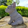 Vivid Arts - Pet Pals Blue French Bulldog Home or