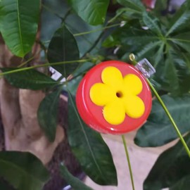 4pcs Flower Hummingbird Clip Feeder with Brushes, ABS Portable Handheld Hummingbird Feeder for Window Outdoor