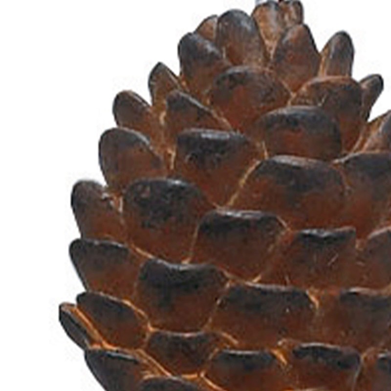 Park Designs Pinecone Shower Curtain Hooks (Set of 12)