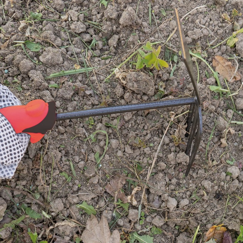 Amig - Gardening and Fork with ABS Handle and Steel