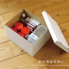 Toyo Case, A4 Storage Box, Set of 5, Width 13.0