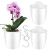 Oliz Self Watering Wall Planters for Indoor Plants with Water