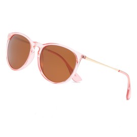 D Lolylad Sunglasses for Womens men UV 400 Protection Retro Designer Style Fashion Sunglasses