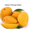 Tree Kesar MANGO TREE GRAFTED (2-4 Feet Tall). Ship To