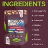 Functional Mushroom Gummies, 2500mg w/Ashwagandha Shiit Blend for Focus Immunity