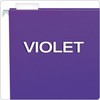 Pendaflex Recycled Hanging Folders, Letter Size, Violet, 1/5 Cut, 25/BX