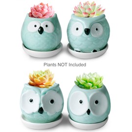 Dahlia Cute Mini Owls Ceramic Succulent Planter w Drainage Hole & Saucer, Turquoise Set of 4
