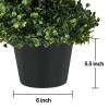 Lvydec 2 Pack Artificial Boxwood Topiary Tree, 3ft Topiary Plants