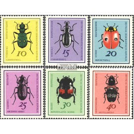 DDR 1411-1416 (complete.issue) unmounted mint/never hinged ** MNH 1968 Beetles (Stamps for collectors) Invertebrates Other (insects, snails, bees…)