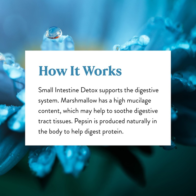 Nature's Sunshine Small Intestine Detox, 100 Capsules | Natural Formula