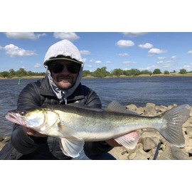 K.P Baits Original Shad 2 Inch Mini Rubber Bait 5 cm Pack of 5 029 Green White