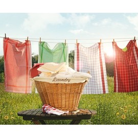 Gain Type Premium Fragrance Oil, 4 Oz. Bottle