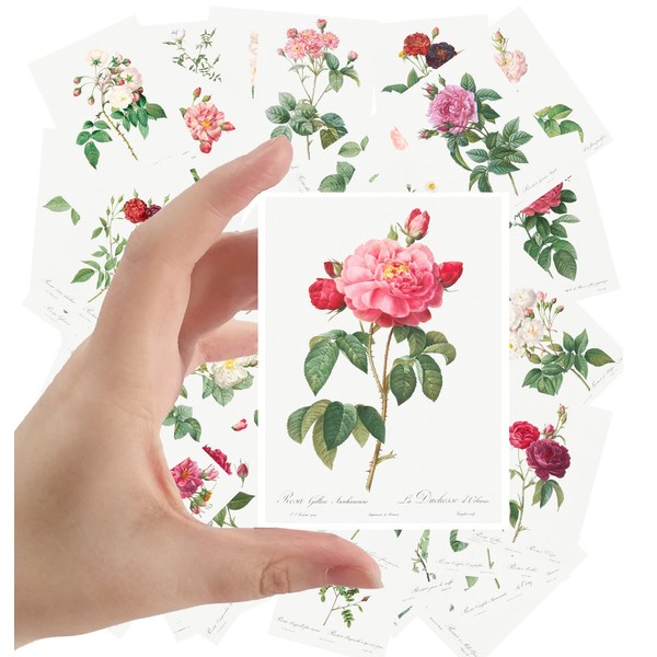 Large Stickers 24 pcs (2.5"x3.5" Each) Roses Flowers Vintage Botannical