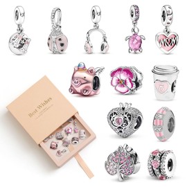 DOLLGIFT 12 Pcs Spacer Beads Charms for Jewellery Making, Pendant Beads for Pan Bracelet & Necklace, Sparking Charms Gift for Women Friends Family Birthday Anniversaries (Pink)