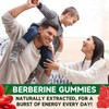 BVIVLOO 2 Packs Berberine Gummies,Sugar Free 2000mg High Potency Berberine