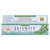 Ayurvedic Herbal Toothpaste, Fresh Mint, 4.16 oz (117 g)