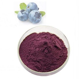 Bilberry Concentrate Powder 100g Sample