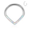 ESHIONER G23 Titanium Septum Piercing Helix Ring Nose Piercing Ring