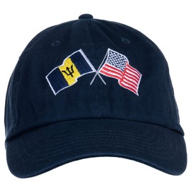 Ann Arbor T-shirt Co. Sombrero de béisbol de perfil bajo con bandera de American Friendship Nations para hombres y mujeres, Azul marino, Talla única