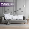Utopia Bedding Throw Pillows Insert (Pack of 2, White) -