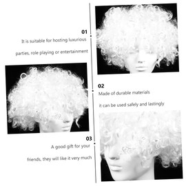 LALAFINA Colorful Curly Clown Wig Fun Festival Hairpiece for Cosplay Dress up Lightweight Fluffy Design for Parties Bright and Eye-catching Costume Accessory