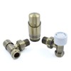 Delta Modern Thermostatic Radiator Valve and Lockshield | Angled |