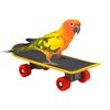 NAUZE Parrot Skateboard Interactive Parrot Creative Toy Intelligence Toys Mini Training Skateboard for Small and Medium Birds Parrots