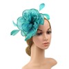 DRESHOW Fascinators Hat Tea Party Headwear Ribbons Feathers on a