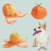 Dog Foraging Mat - Peel and Orange Snuffle Toy |