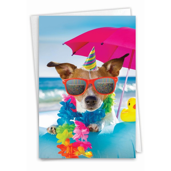 NobleWorks Funny Birthday Greeting Card with 5 x 7 Inch