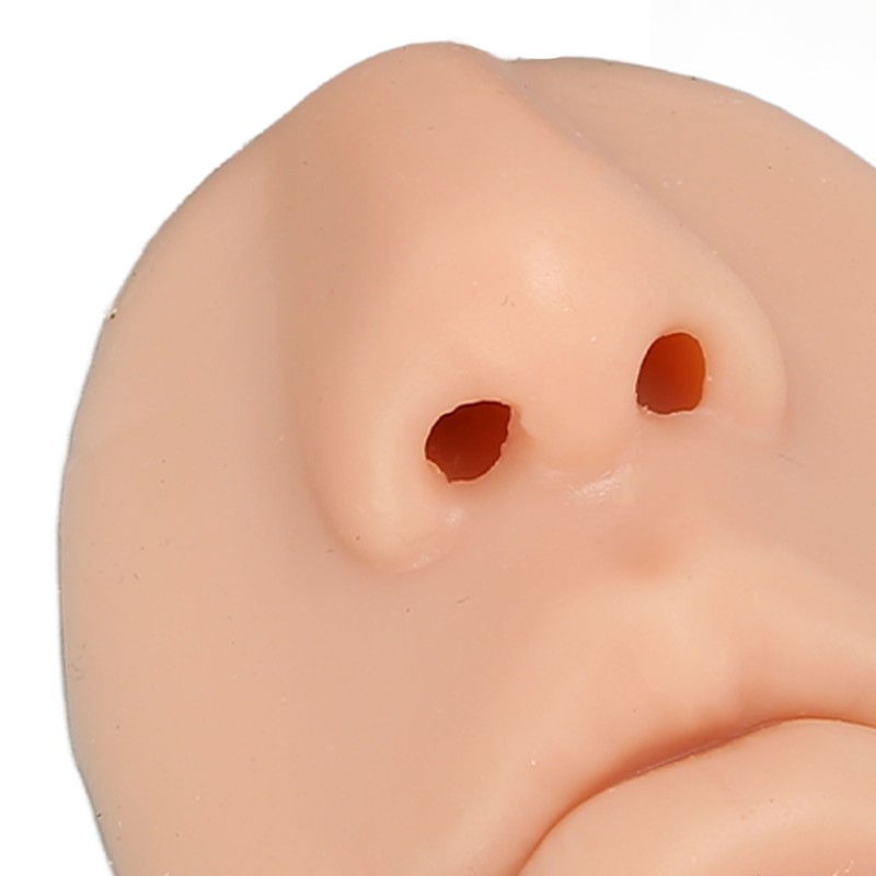 Silicone Ear Model Novice Simulated 3D Nose and Mouth Model