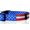 Native Pup American Flag Dog Collar (Large, Flag I)