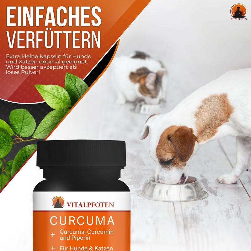 Vitalpfoten 75 Curcuma Capsules for Dogs and Cats with Curcumin