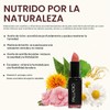 Palladio Labial Mate Cremoso de Larga Duración Plum Majesty
