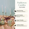 Paddywax La Playa, Salted Blue Agave Scented Candle in Reusable