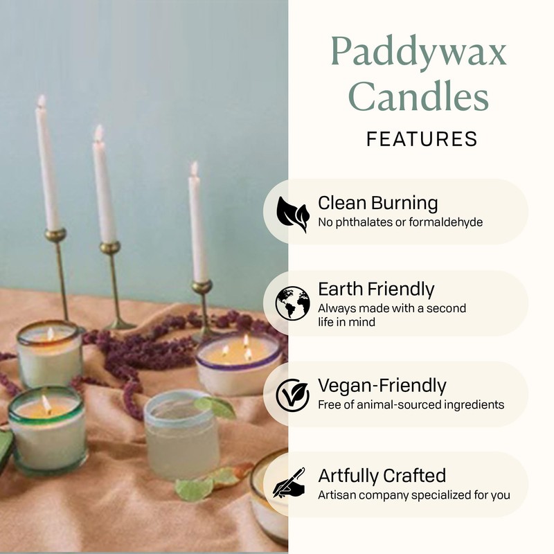 Paddywax La Playa, Salted Blue Agave Scented Candle in Reusable
