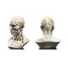 VOANZO Resin Human Model Anatomy Skull Head Muscle Bone Medical